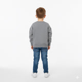 Kids Grey Sweatshirt with Fun Dinosaur Print